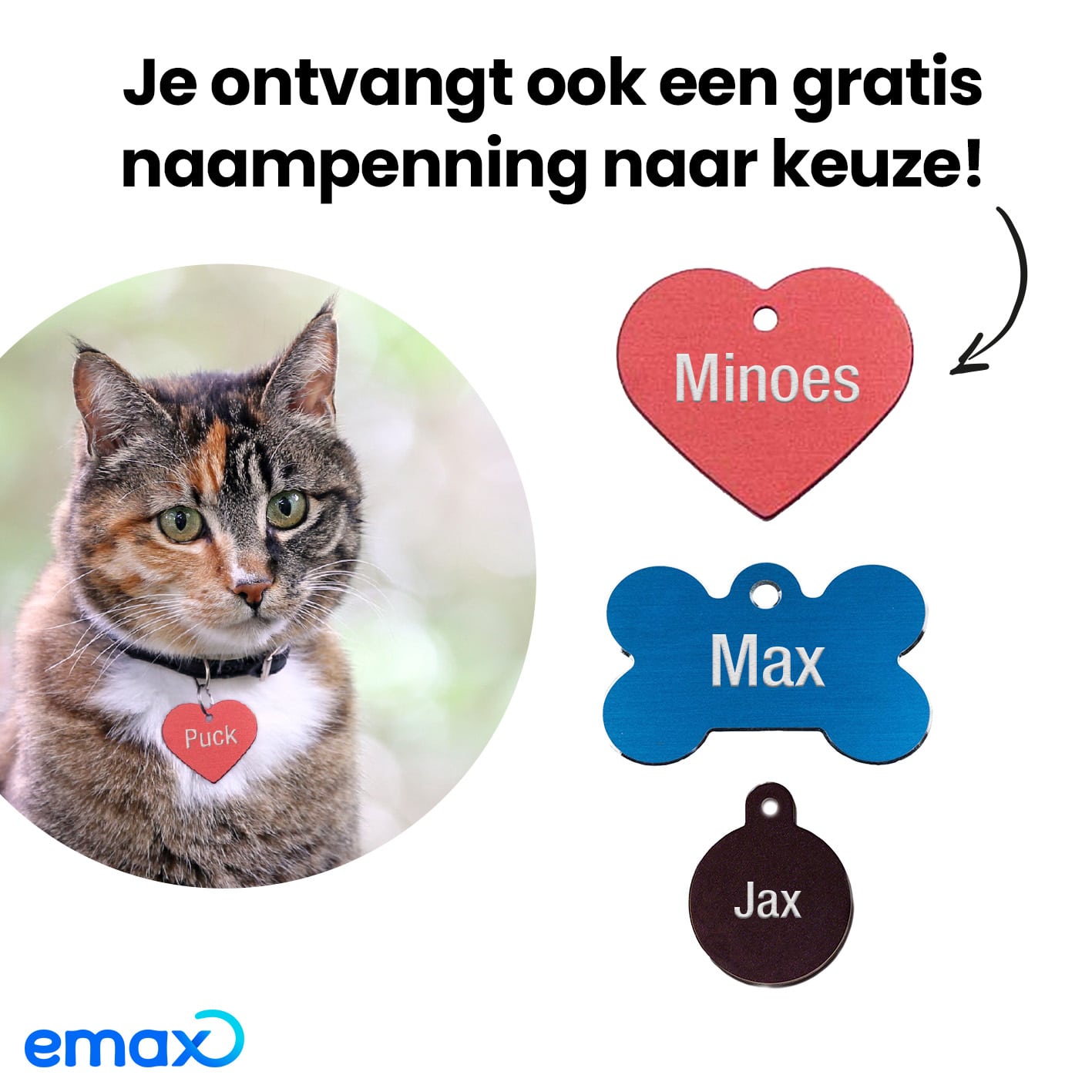 PetBox kitten: ontvang een gratis naampenning, van Emax