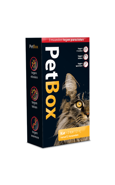 PetBox beschermt jouw kat tot 3 maanden tegen vlooien, teken en wormen - Emax.nl