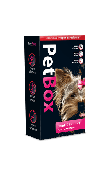 PetBox beschermt jouw hond tot 3 maanden tegen vlooien, teken en wormen - Emax.nl