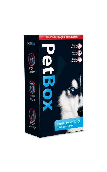 PetBox beschermt jouw hond tot 3 maanden tegen vlooien, teken en wormen - Emax.nl