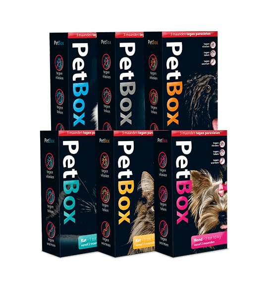 PetBox voor hond en kat - Emax.nl