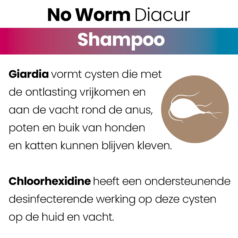 No Worm Diacur Shampoo helpt de huid beschermen tegen ongewenste micro-organismen. Het hydrateert de huid en vacht. www.emax.nl